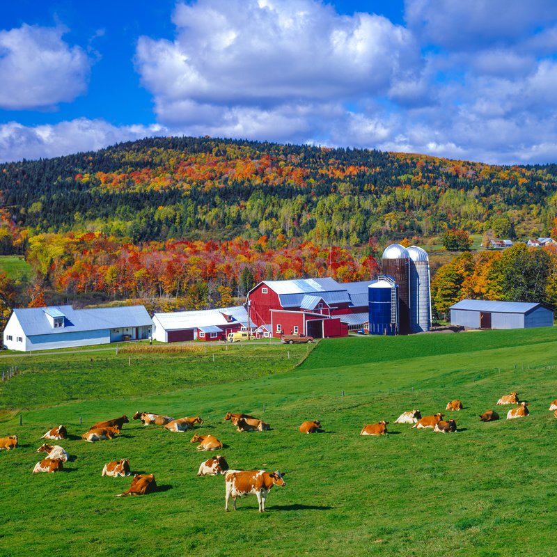 Farms America / Ed Spencer Real Estate